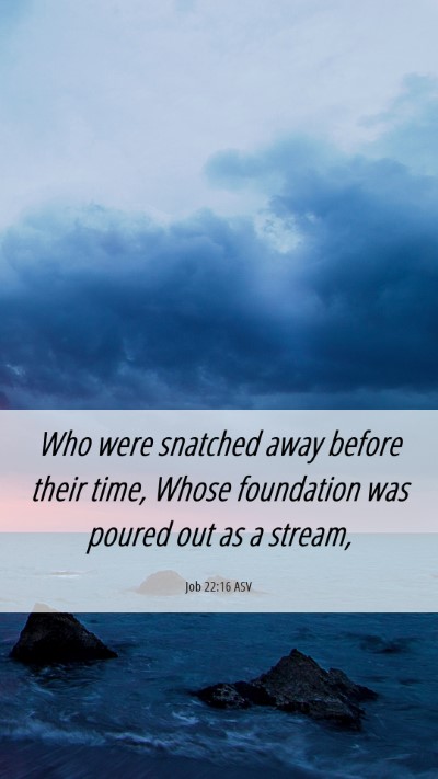 Picture 06 - Job 22:16 ASV Mobile Phone Wallpaper - Who were snatched away before their time, Whose - Mobile Bible Verse Wallpaper