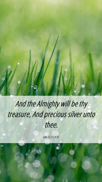Picture 06 - Job 22:25 ASV Mobile Phone Wallpaper - And the Almighty will be thy treasure, And - Mobile Bible Verse Wallpaper