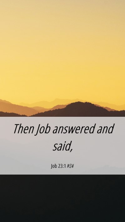 Picture 06 - Job 23:1 ASV Mobile Phone Wallpaper - Then Job answered and - Mobile Bible Verse Wallpaper