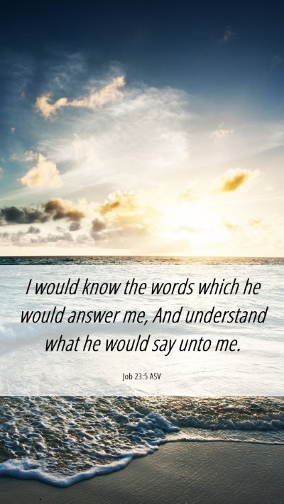 Picture 06 - Job 23:5 ASV Mobile Phone Wallpaper - I would know the words which he would answer me, - Mobile Bible Verse Wallpaper