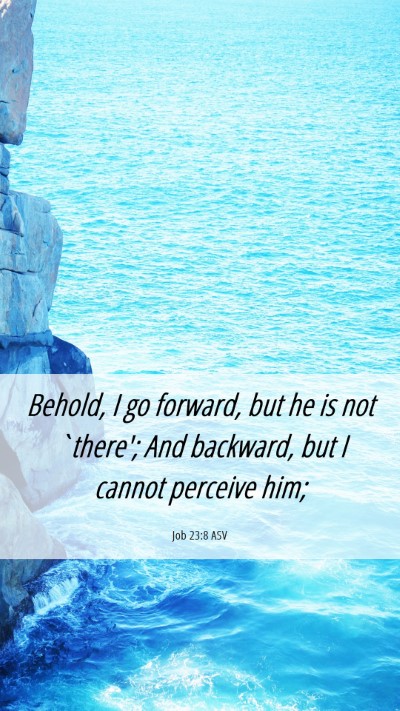 Picture 06 - Job 23:8 ASV Mobile Phone Wallpaper - Behold, I go forward, but he is not `there'; And - Mobile Bible Verse Wallpaper
