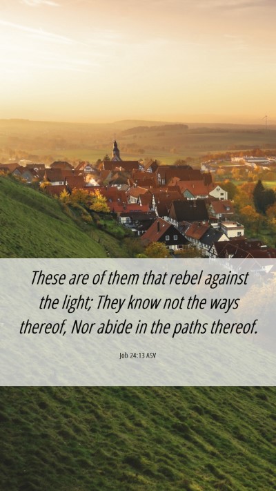 Picture 06 - Job 24:13 ASV Mobile Phone Wallpaper - These are of them that rebel against the light; - Mobile Bible Verse Wallpaper