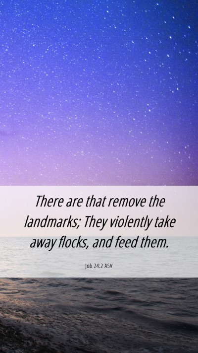 Picture 06 - Job 24:2 ASV Mobile Phone Wallpaper - There are that remove the landmarks; They - Mobile Bible Verse Wallpaper
