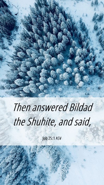 Picture 06 - Job 25:1 ASV Mobile Phone Wallpaper - Then answered Bildad the Shuhite, and - Mobile Bible Verse Wallpaper
