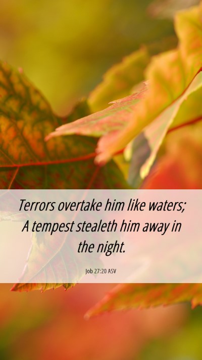 Picture 06 - Job 27:20 ASV Mobile Phone Wallpaper - Terrors overtake him like waters; A tempest - Mobile Bible Verse Wallpaper