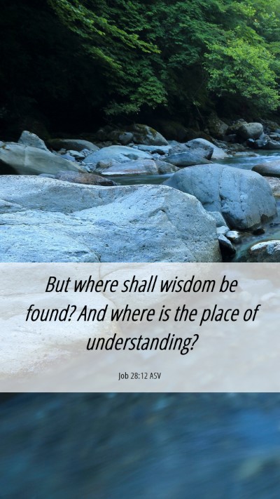 Picture 06 - Job 28:12 ASV Mobile Phone Wallpaper - But where shall wisdom be found? And where is the - Mobile Bible Verse Wallpaper