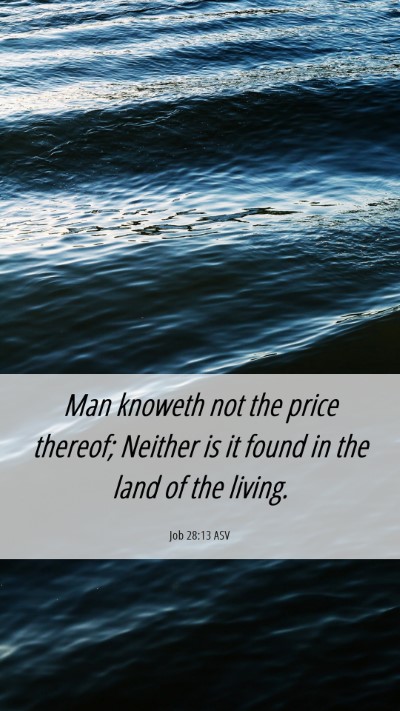 Picture 06 - Job 28:13 ASV Mobile Phone Wallpaper - Man knoweth not the price thereof; Neither is it - Mobile Bible Verse Wallpaper