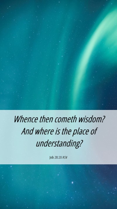 Picture 06 - Job 28:20 ASV Mobile Phone Wallpaper - Whence then cometh wisdom? And where is the place - Mobile Bible Verse Wallpaper