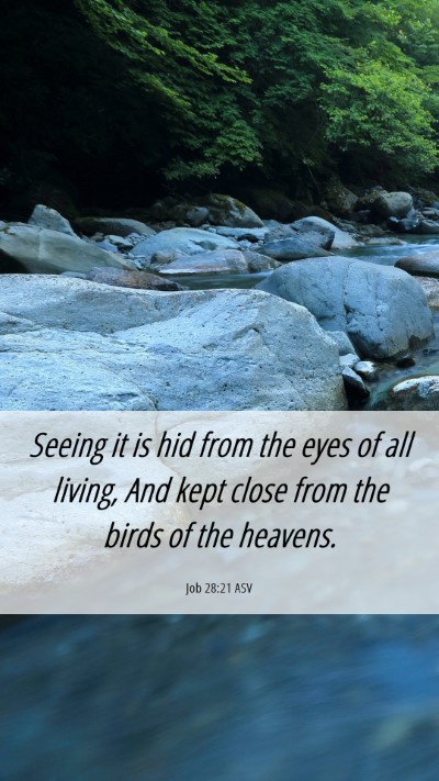 Picture 06 - Job 28:21 ASV Mobile Phone Wallpaper - Seeing it is hid from the eyes of all living, And - Mobile Bible Verse Wallpaper