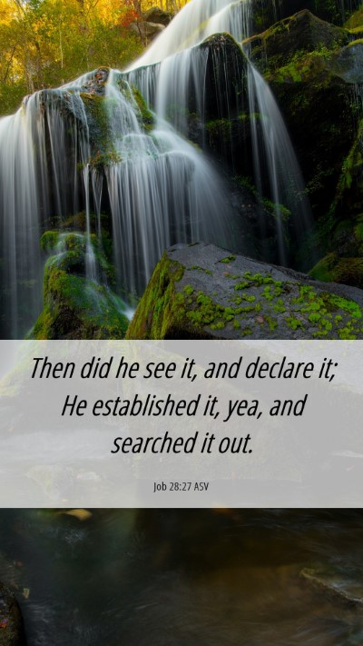 Picture 06 - Job 28:27 ASV Mobile Phone Wallpaper - Then did he see it, and declare it; He - Mobile Bible Verse Wallpaper