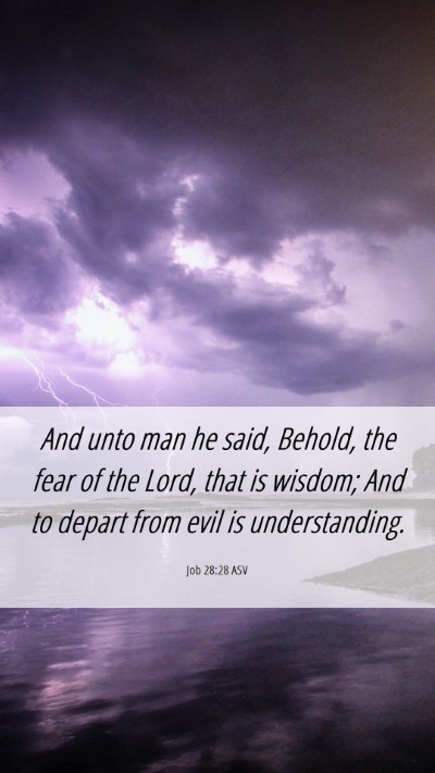 Picture 06 - Job 28:28 ASV Mobile Phone Wallpaper - And unto man he said, Behold, the fear of the - Mobile Bible Verse Wallpaper