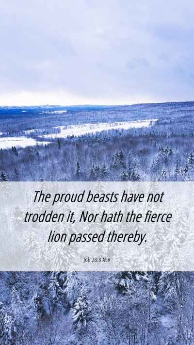 Picture 06 - Job 28:8 ASV Mobile Phone Wallpaper - The proud beasts have not trodden it, Nor hath - Mobile Bible Verse Wallpaper