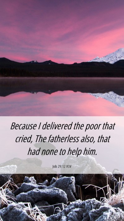 Picture 06 - Job 29:12 ASV Mobile Phone Wallpaper - Because I delivered the poor that cried, The - Mobile Bible Verse Wallpaper