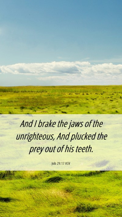 Picture 06 - Job 29:17 ASV Mobile Phone Wallpaper - And I brake the jaws of the unrighteous, And - Mobile Bible Verse Wallpaper