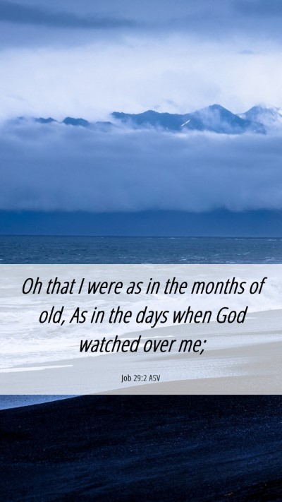 Picture 06 - Job 29:2 ASV Mobile Phone Wallpaper - Oh that I were as in the months of old, As in the - Mobile Bible Verse Wallpaper