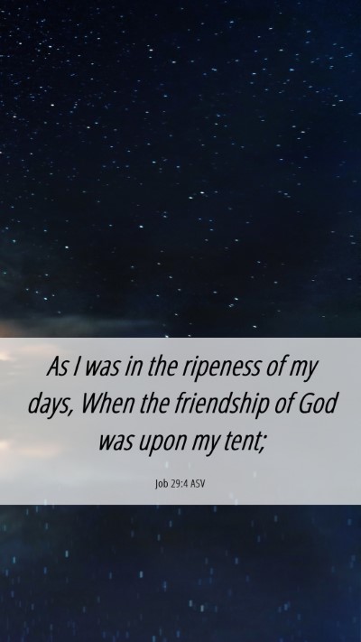 Picture 06 - Job 29:4 ASV Mobile Phone Wallpaper - As I was in the ripeness of my days, When the - Mobile Bible Verse Wallpaper