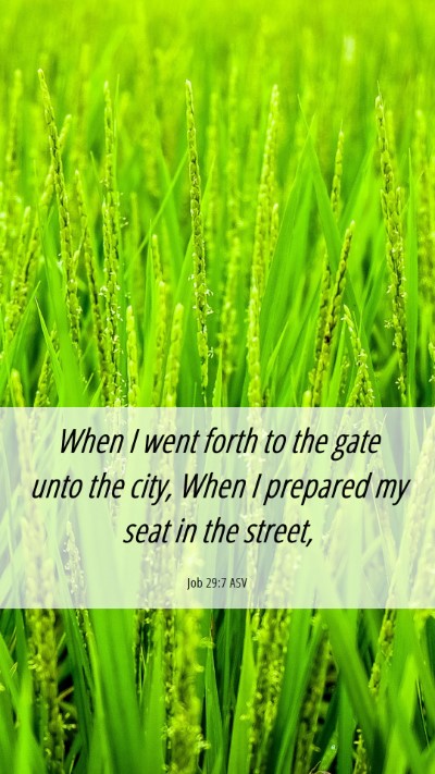 Picture 06 - Job 29:7 ASV Mobile Phone Wallpaper - When I went forth to the gate unto the city, When - Mobile Bible Verse Wallpaper