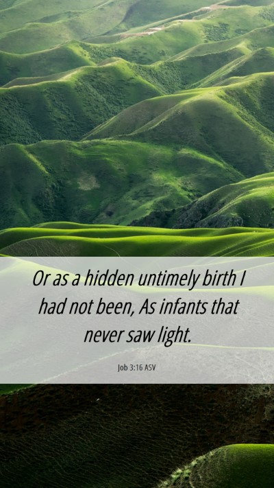 Picture 06 - Job 3:16 ASV Mobile Phone Wallpaper - Or as a hidden untimely birth I had not been, As - Mobile Bible Verse Wallpaper