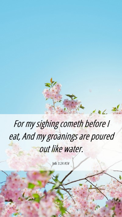 Picture 06 - Job 3:24 ASV Mobile Phone Wallpaper - For my sighing cometh before I eat, And my - Mobile Bible Verse Wallpaper