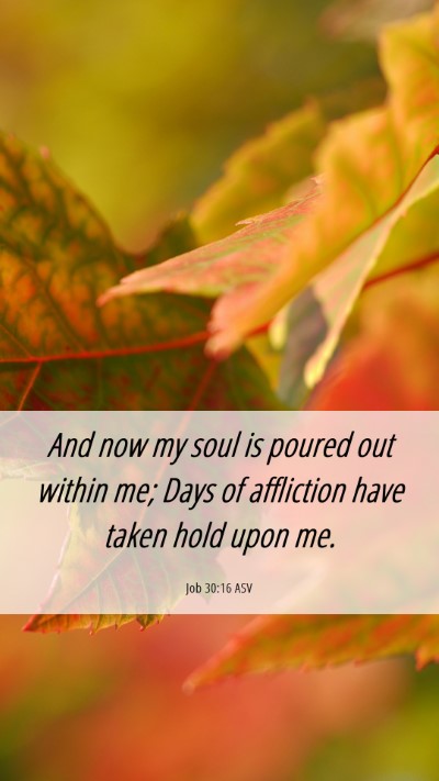 Picture 06 - Job 30:16 ASV Mobile Phone Wallpaper - And now my soul is poured out within me; Days of - Mobile Bible Verse Wallpaper