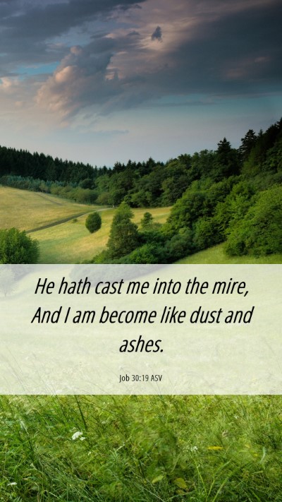 Picture 06 - Job 30:19 ASV Mobile Phone Wallpaper - He hath cast me into the mire, And I am become - Mobile Bible Verse Wallpaper