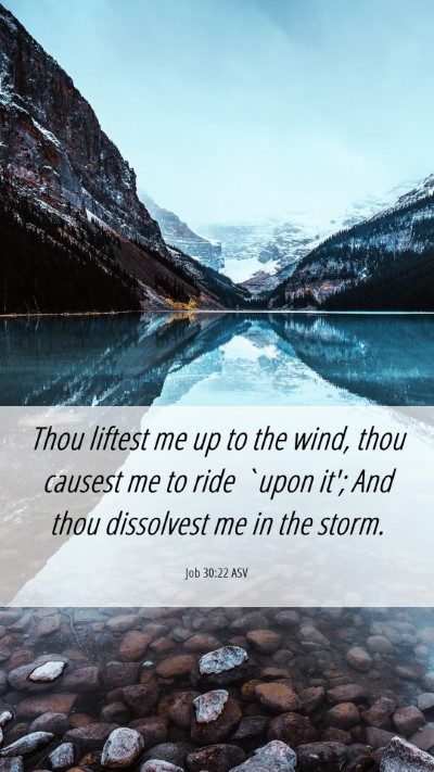 Picture 06 - Job 30:22 ASV Mobile Phone Wallpaper - Thou liftest me up to the wind, thou causest me - Mobile Bible Verse Wallpaper
