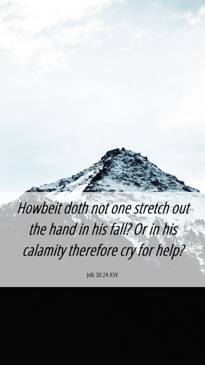 Picture 06 - Job 30:24 ASV Mobile Phone Wallpaper - Howbeit doth not one stretch out the hand in his - Mobile Bible Verse Wallpaper