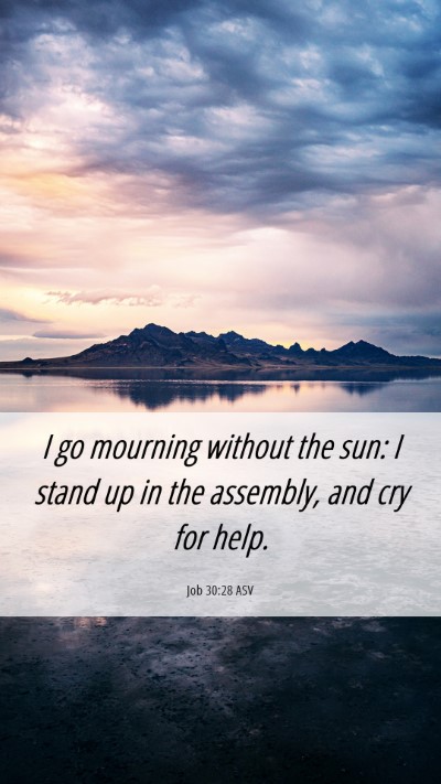 Picture 06 - Job 30:28 ASV Mobile Phone Wallpaper - I go mourning without the sun: I stand up in the - Mobile Bible Verse Wallpaper