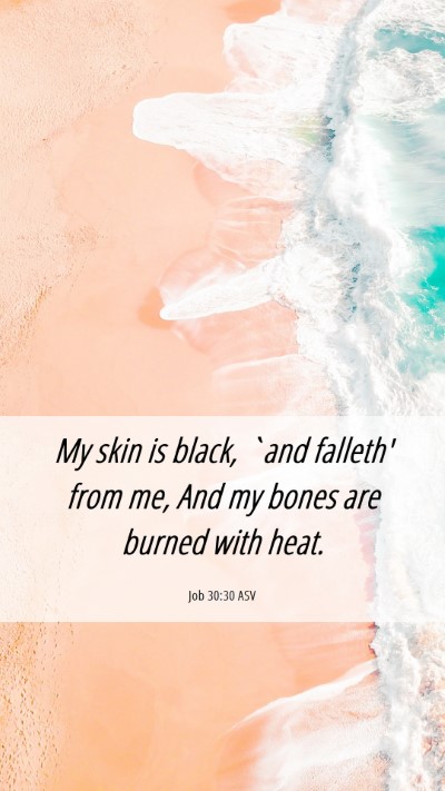 Picture 06 - Job 30:30 ASV Mobile Phone Wallpaper - My skin is black, `and falleth' from me, And my - Mobile Bible Verse Wallpaper
