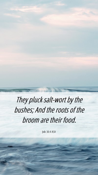 Picture 06 - Job 30:4 ASV Mobile Phone Wallpaper - They pluck salt-wort by the bushes; And the roots - Mobile Bible Verse Wallpaper