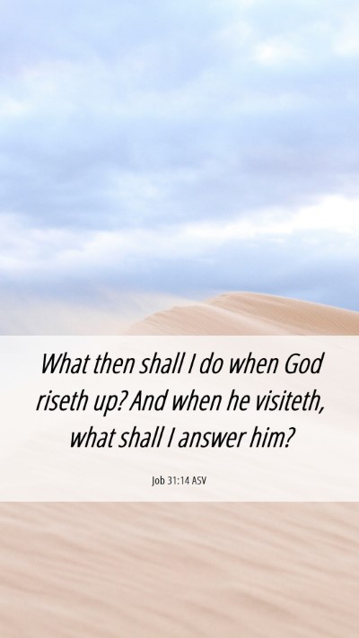 Picture 06 - Job 31:14 ASV Mobile Phone Wallpaper - What then shall I do when God riseth up? And when - Mobile Bible Verse Wallpaper