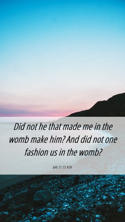 Picture 06 - Job 31:15 ASV Mobile Phone Wallpaper - Did not he that made me in the womb make him? And - Mobile Bible Verse Wallpaper