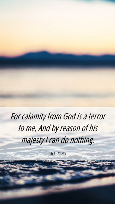 Picture 06 - Job 31:23 ASV Mobile Phone Wallpaper - For calamity from God is a terror to me, And by - Mobile Bible Verse Wallpaper