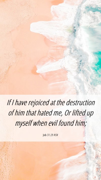 Picture 06 - Job 31:29 ASV Mobile Phone Wallpaper - If I have rejoiced at the destruction of him that - Mobile Bible Verse Wallpaper