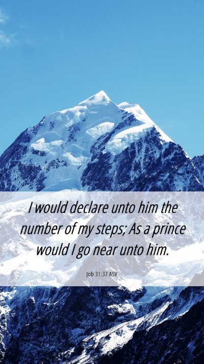 Picture 06 - Job 31:37 ASV Mobile Phone Wallpaper - I would declare unto him the number of my steps; - Mobile Bible Verse Wallpaper