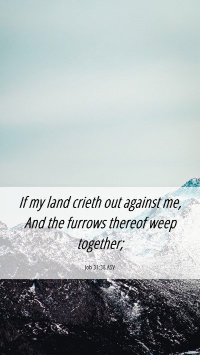 Picture 06 - Job 31:38 ASV Mobile Phone Wallpaper - If my land crieth out against me, And the furrows - Mobile Bible Verse Wallpaper