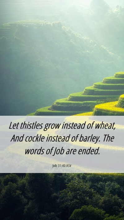 Picture 06 - Job 31:40 ASV Mobile Phone Wallpaper - Let thistles grow instead of wheat, And cockle - Mobile Bible Verse Wallpaper