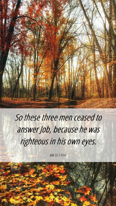 Picture 06 - Job 32:1 ASV Mobile Phone Wallpaper - So these three men ceased to answer Job, because - Mobile Bible Verse Wallpaper
