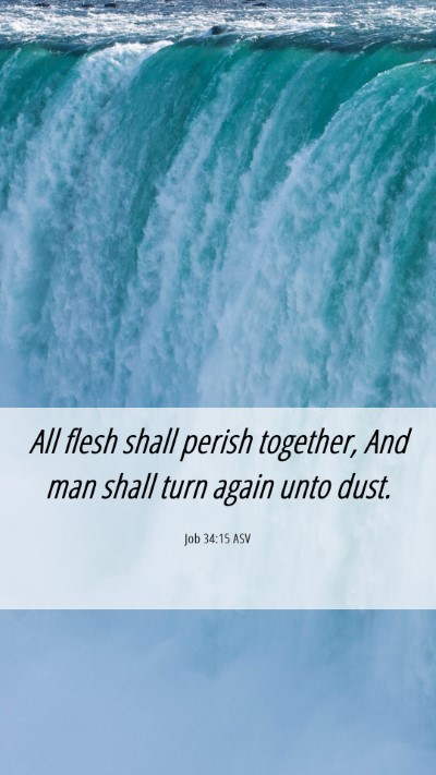 Picture 06 - Job 34:15 ASV Mobile Phone Wallpaper - All flesh shall perish together, And man shall - Mobile Bible Verse Wallpaper