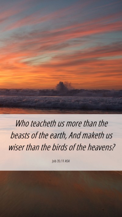 Picture 06 - Job 35:11 ASV Mobile Phone Wallpaper - Who teacheth us more than the beasts of the - Mobile Bible Verse Wallpaper