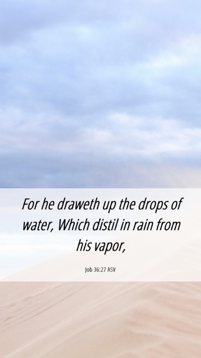 Picture 06 - Job 36:27 ASV Mobile Phone Wallpaper - For he draweth up the drops of water, Which - Mobile Bible Verse Wallpaper