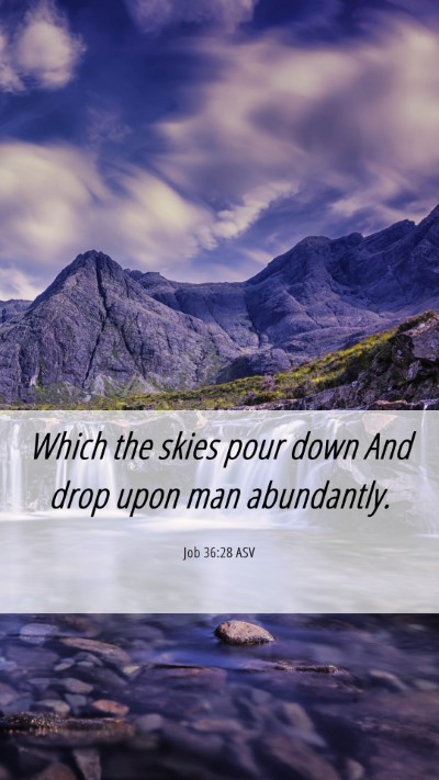 Picture 06 - Job 36:28 ASV Mobile Phone Wallpaper - Which the skies pour down And drop upon man - Mobile Bible Verse Wallpaper