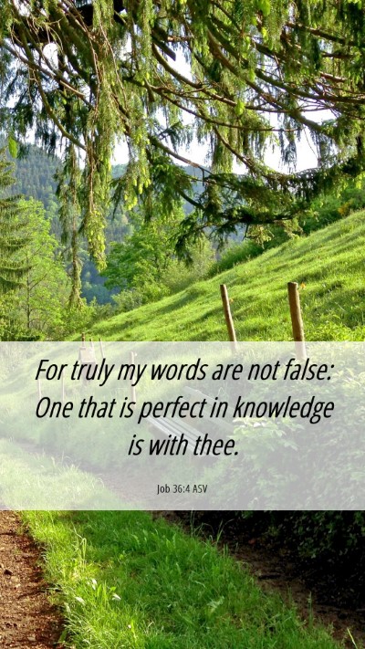 Picture 06 - Job 36:4 ASV Mobile Phone Wallpaper - For truly my words are not false: One that is - Mobile Bible Verse Wallpaper