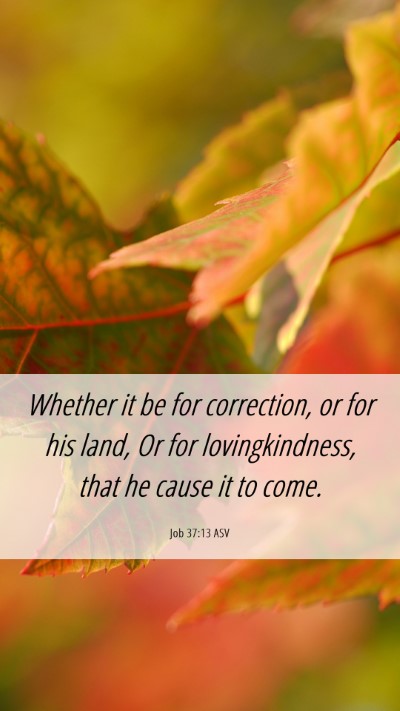Picture 06 - Job 37:13 ASV Mobile Phone Wallpaper - Whether it be for correction, or for his land, Or - Mobile Bible Verse Wallpaper