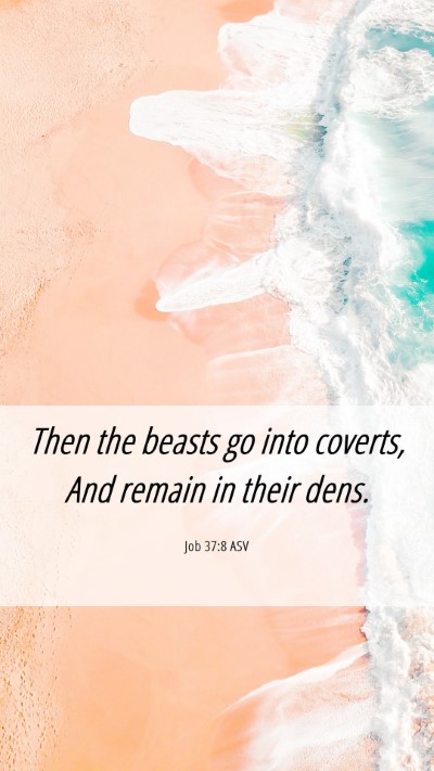 Picture 06 - Job 37:8 ASV Mobile Phone Wallpaper - Then the beasts go into coverts, And remain in - Mobile Bible Verse Wallpaper