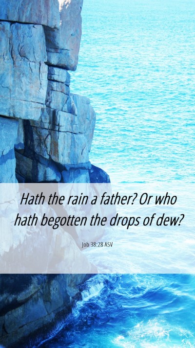 Picture 06 - Job 38:28 ASV Mobile Phone Wallpaper - Hath the rain a father? Or who hath begotten the - Mobile Bible Verse Wallpaper