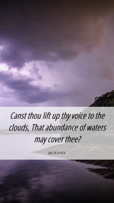 Picture 06 - Job 38:34 ASV Mobile Phone Wallpaper - Canst thou lift up thy voice to the clouds, That - Mobile Bible Verse Wallpaper