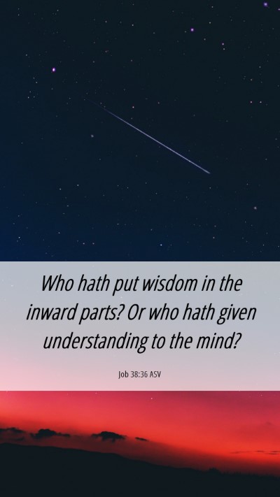 Picture 06 - Job 38:36 ASV Mobile Phone Wallpaper - Who hath put wisdom in the inward parts? Or who - Mobile Bible Verse Wallpaper