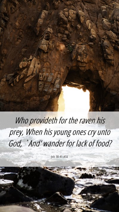 Picture 06 - Job 38:41 ASV Mobile Phone Wallpaper - Who provideth for the raven his prey, When his - Mobile Bible Verse Wallpaper