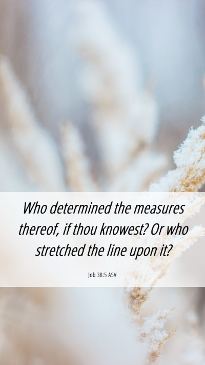 Picture 06 - Job 38:5 ASV Mobile Phone Wallpaper - Who determined the measures thereof, if thou - Mobile Bible Verse Wallpaper